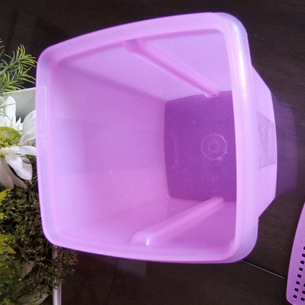 New🌈 Tupperware Pickle Container & Food Storage - Picture 5 of 10